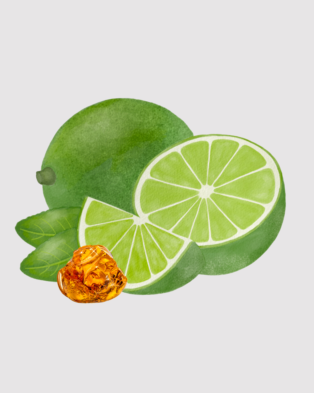 Âmbar & Limão refil aromatizador profissional