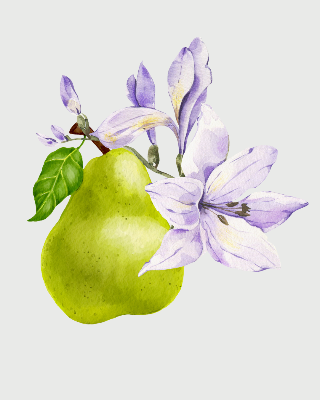 Fresia & Pêra aromatizador Spray profissional