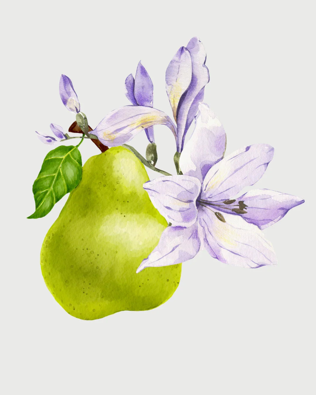 Fresia & Pêra aromatizador Spray profissional