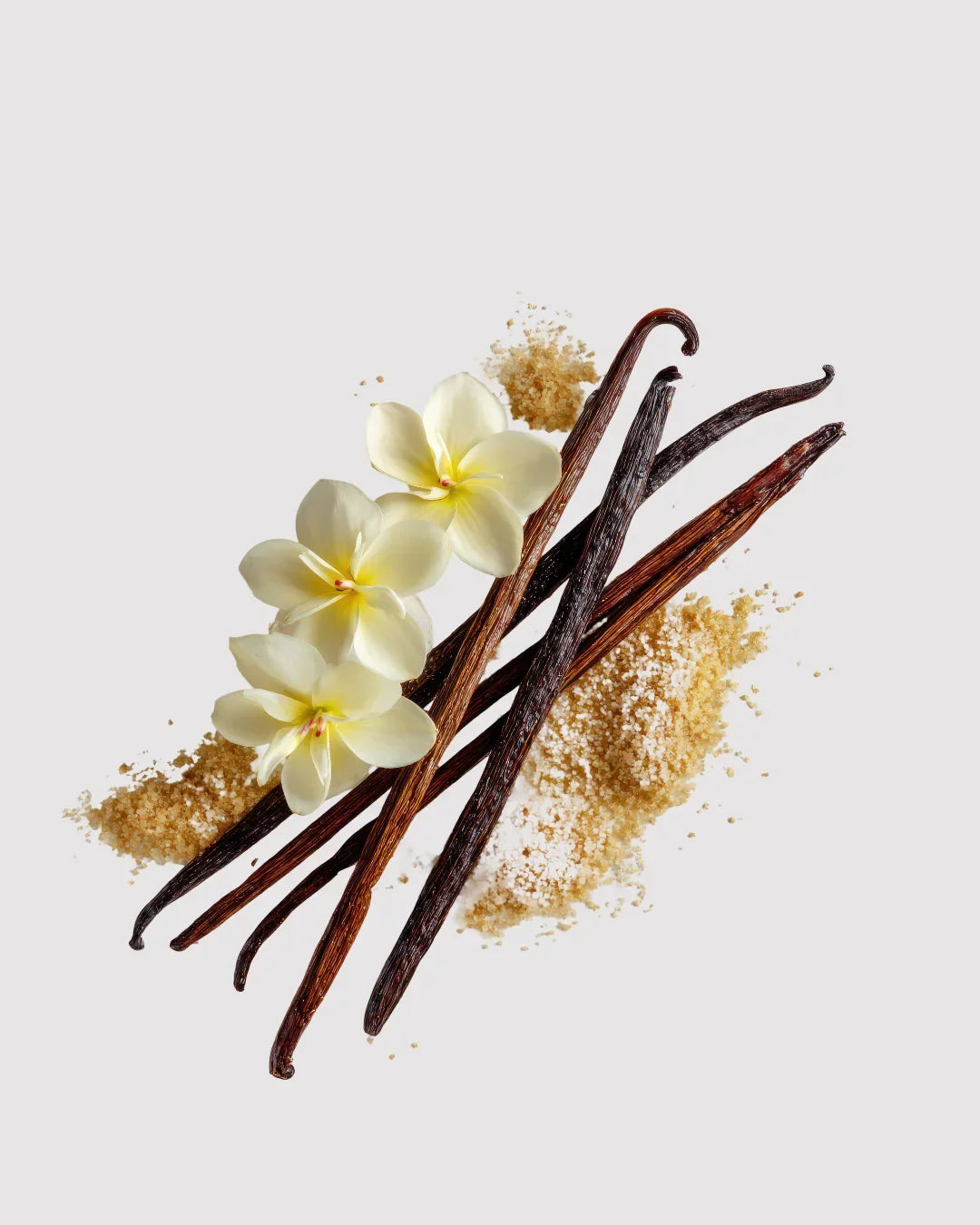 Vanilla & Patchouli Refil aromatizador profissional