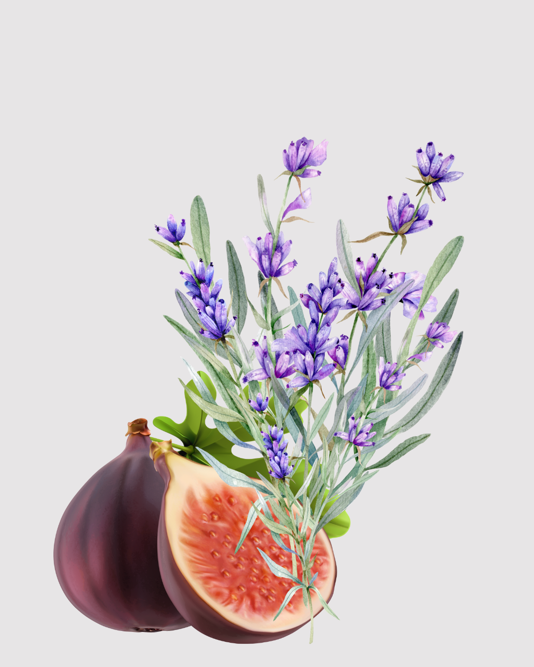 Flor de Figo e Lavanda aromatizador Spray profissional