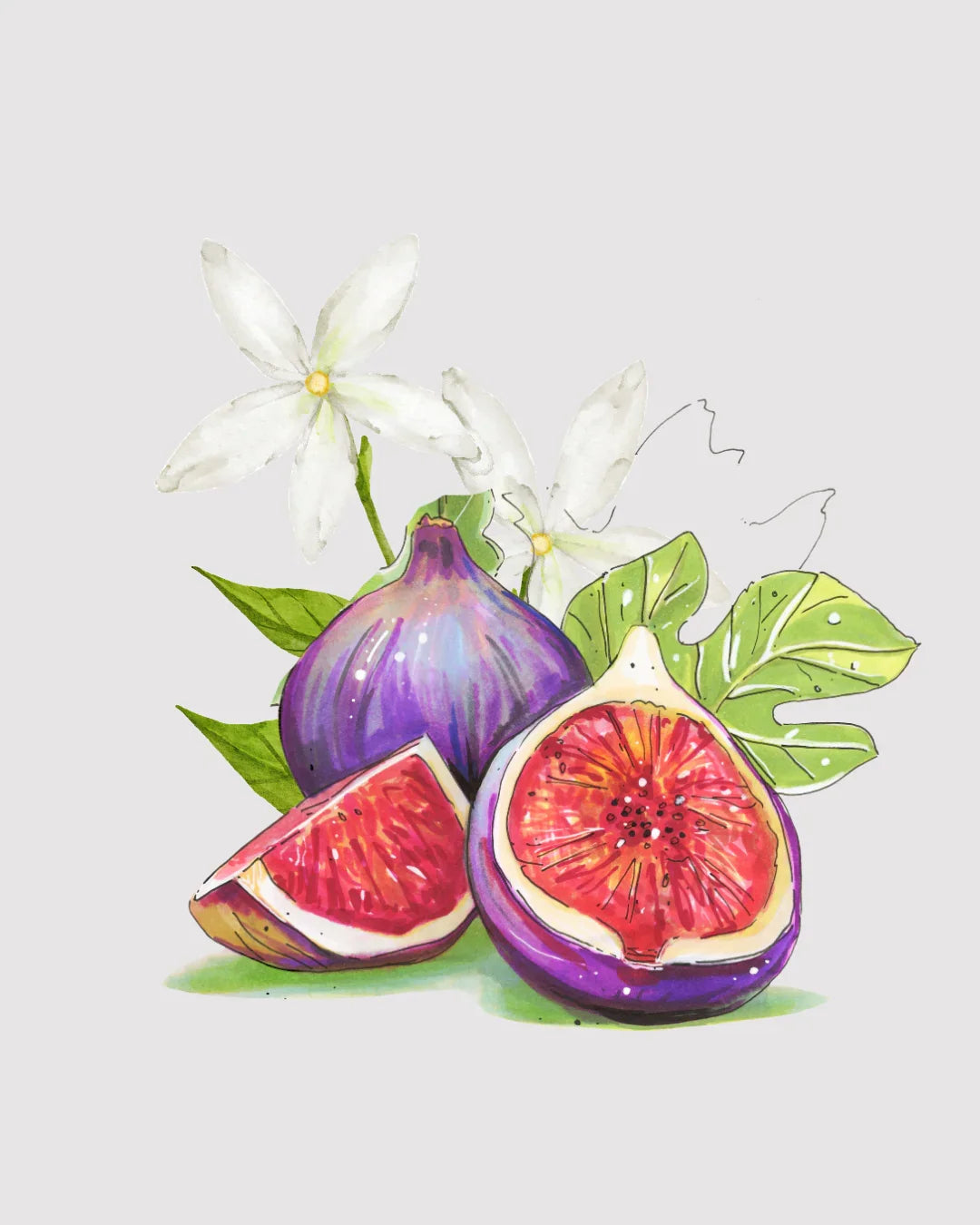 Flor de Figo aromatizador Spray profissional