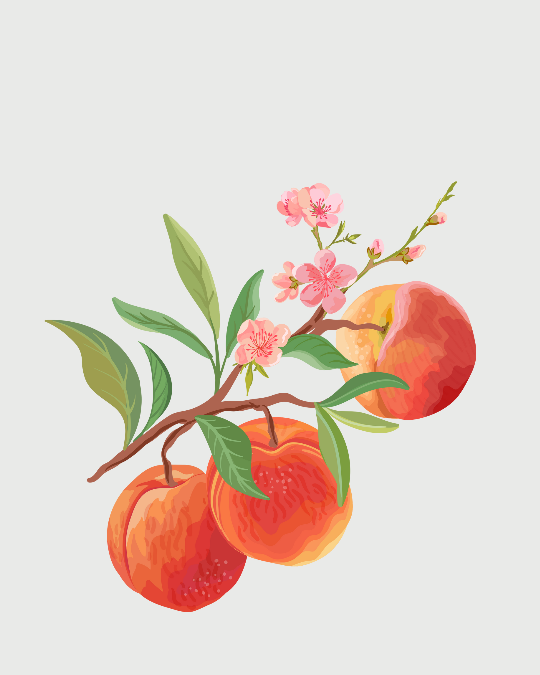 Pêssego & Jasmim aromatizador Spray profissional