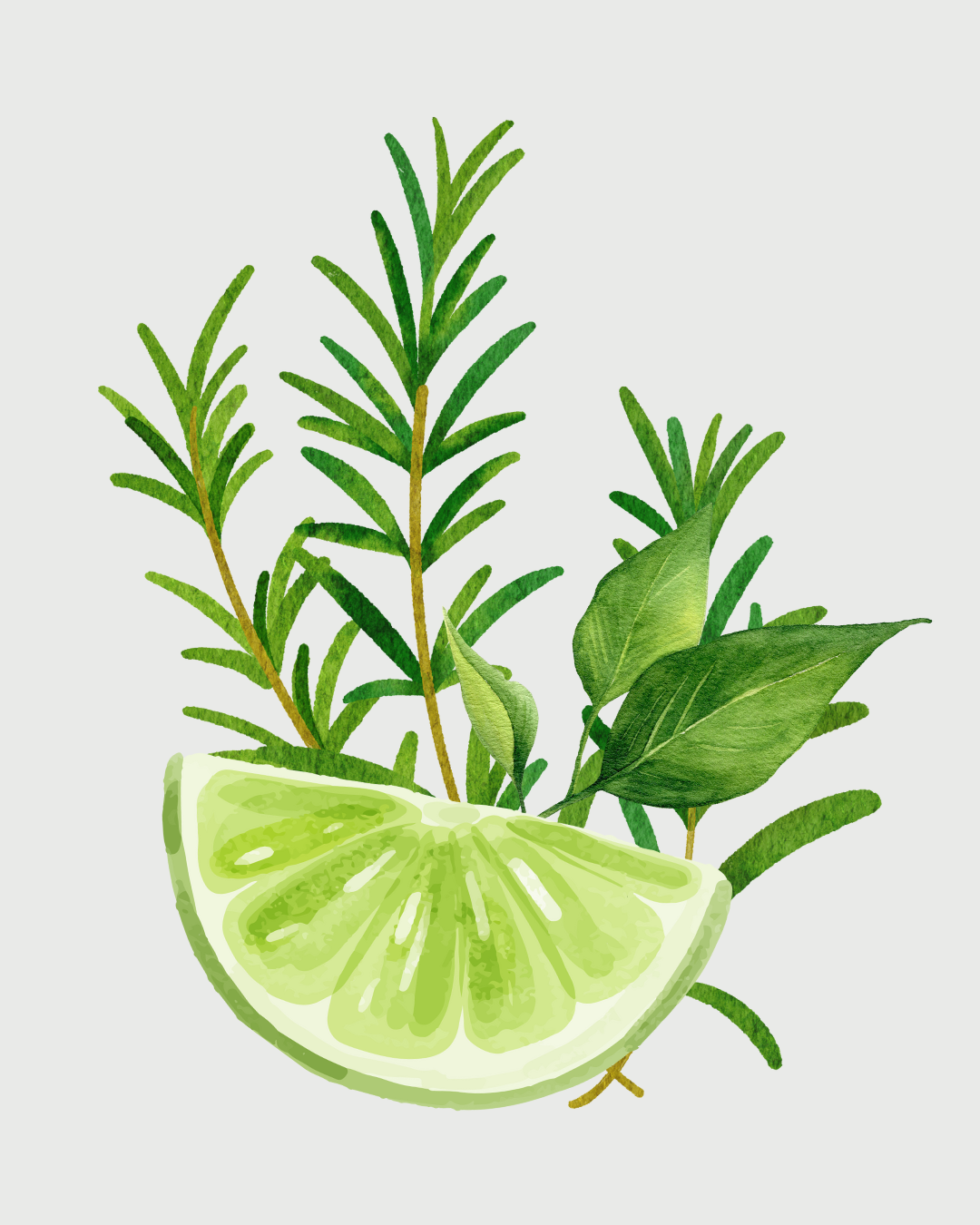 Lima & Alecrim refil aromatizador profissional