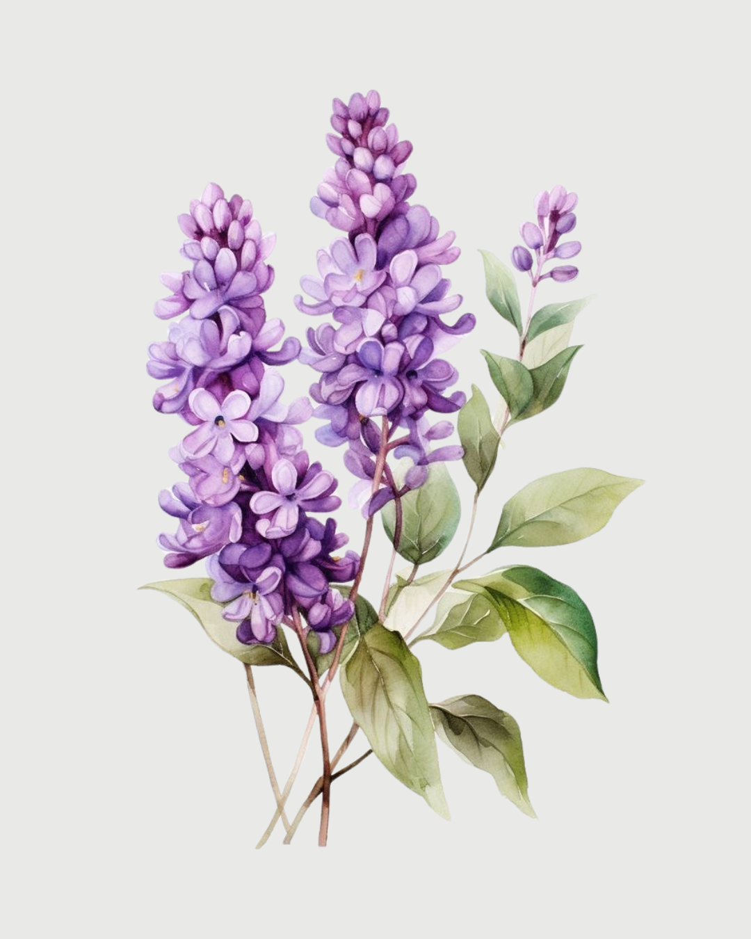 Petit aromatizador Spray profissional