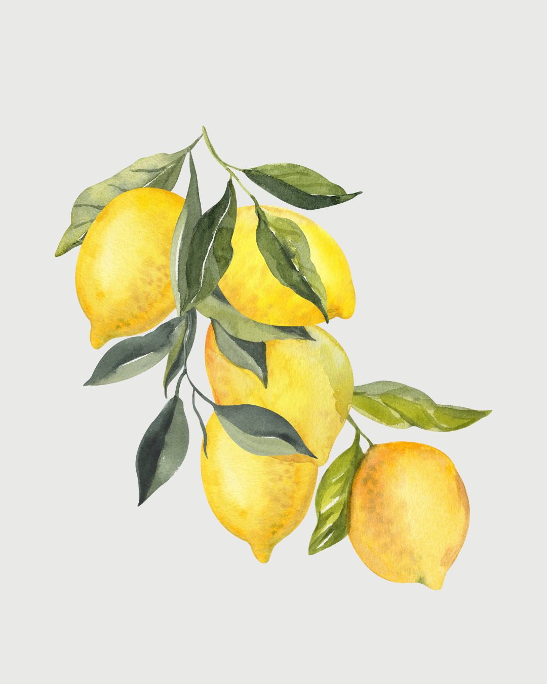 Tropical aromatizador Spray profissional