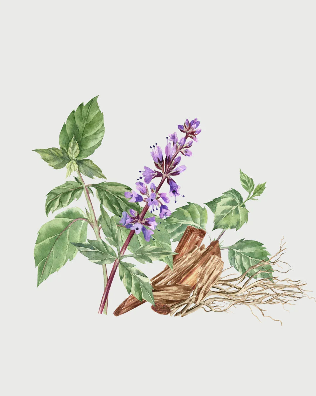 Pimenta & Patchouli refil aromatizador profissional