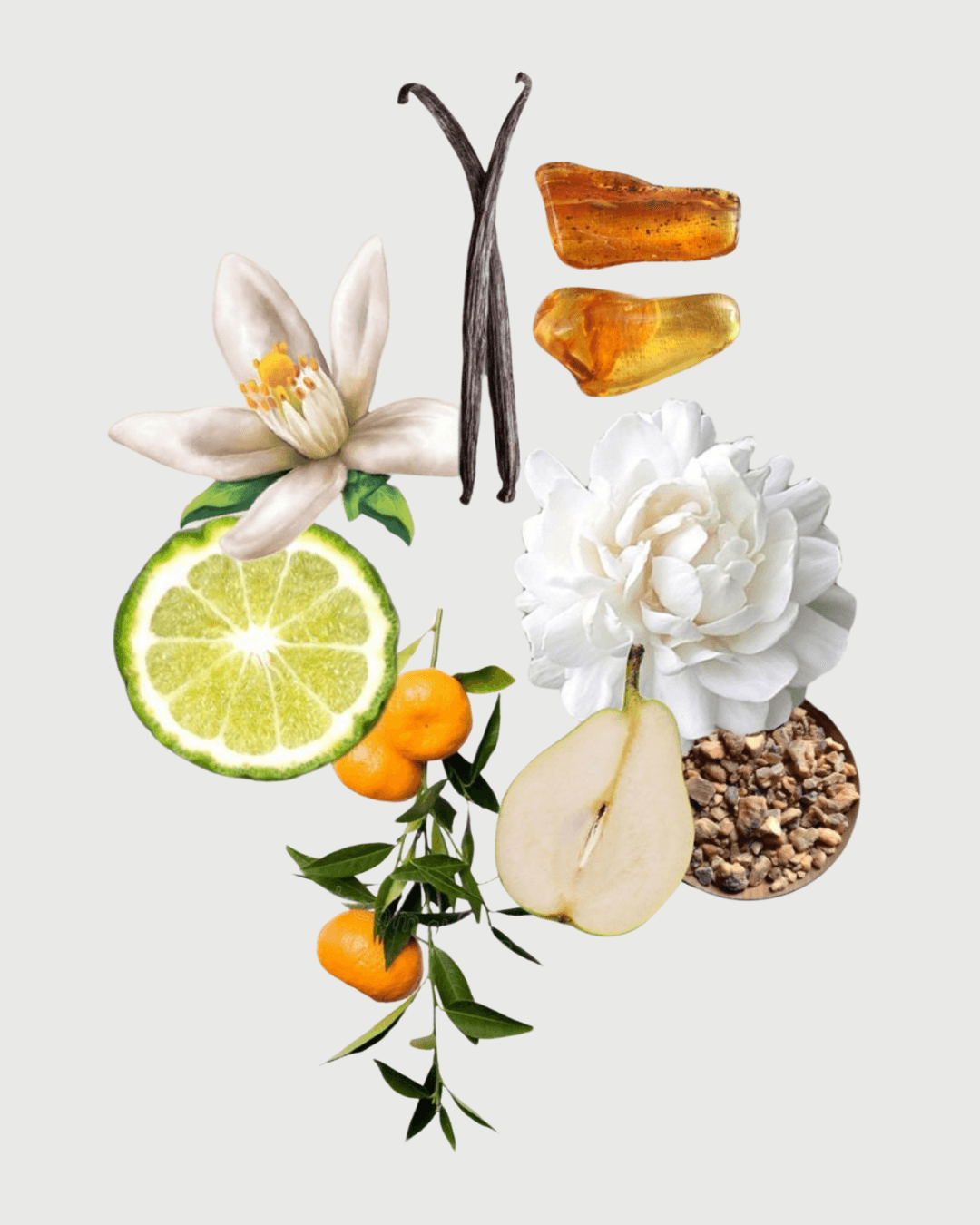 Velvet Noir Refil aromatizador profissional