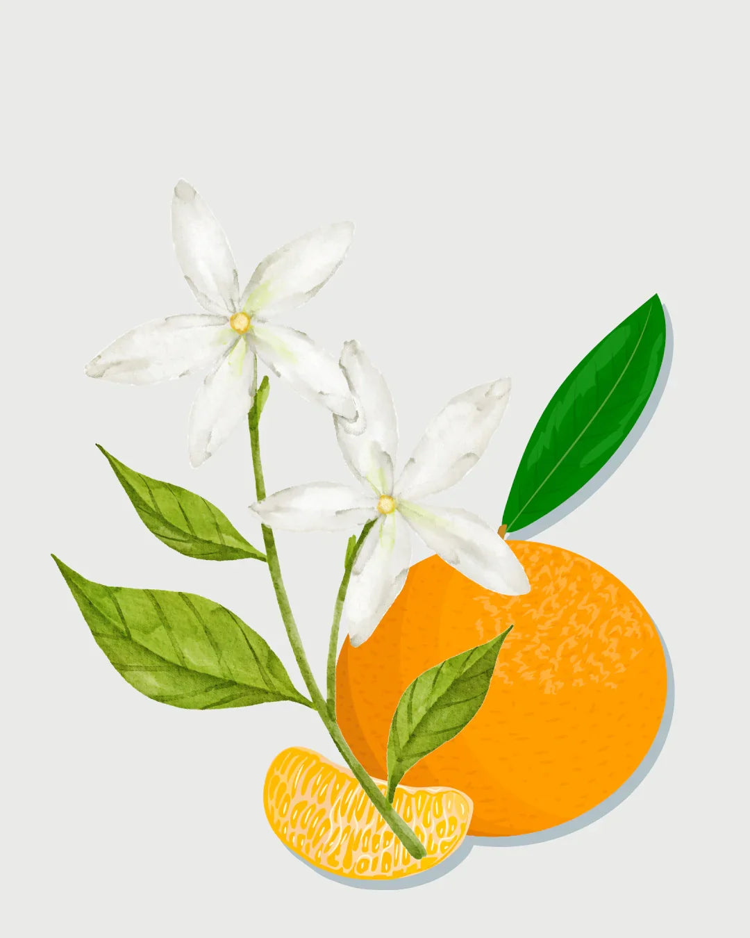 Maldivas aromatizador Spray profissional