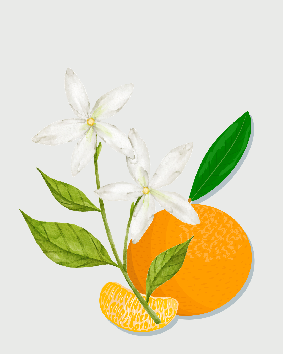 Maldivas refil aromatizador profissional