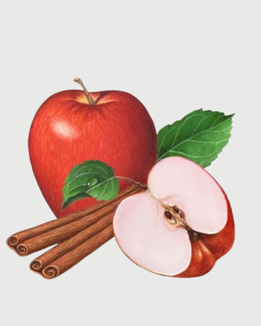 Maça & Canela Refil aromatizador profissional