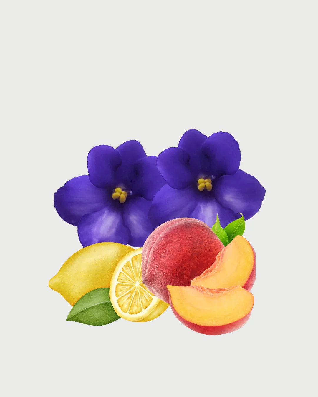 Jardim Palace Refil aromatizador profissional