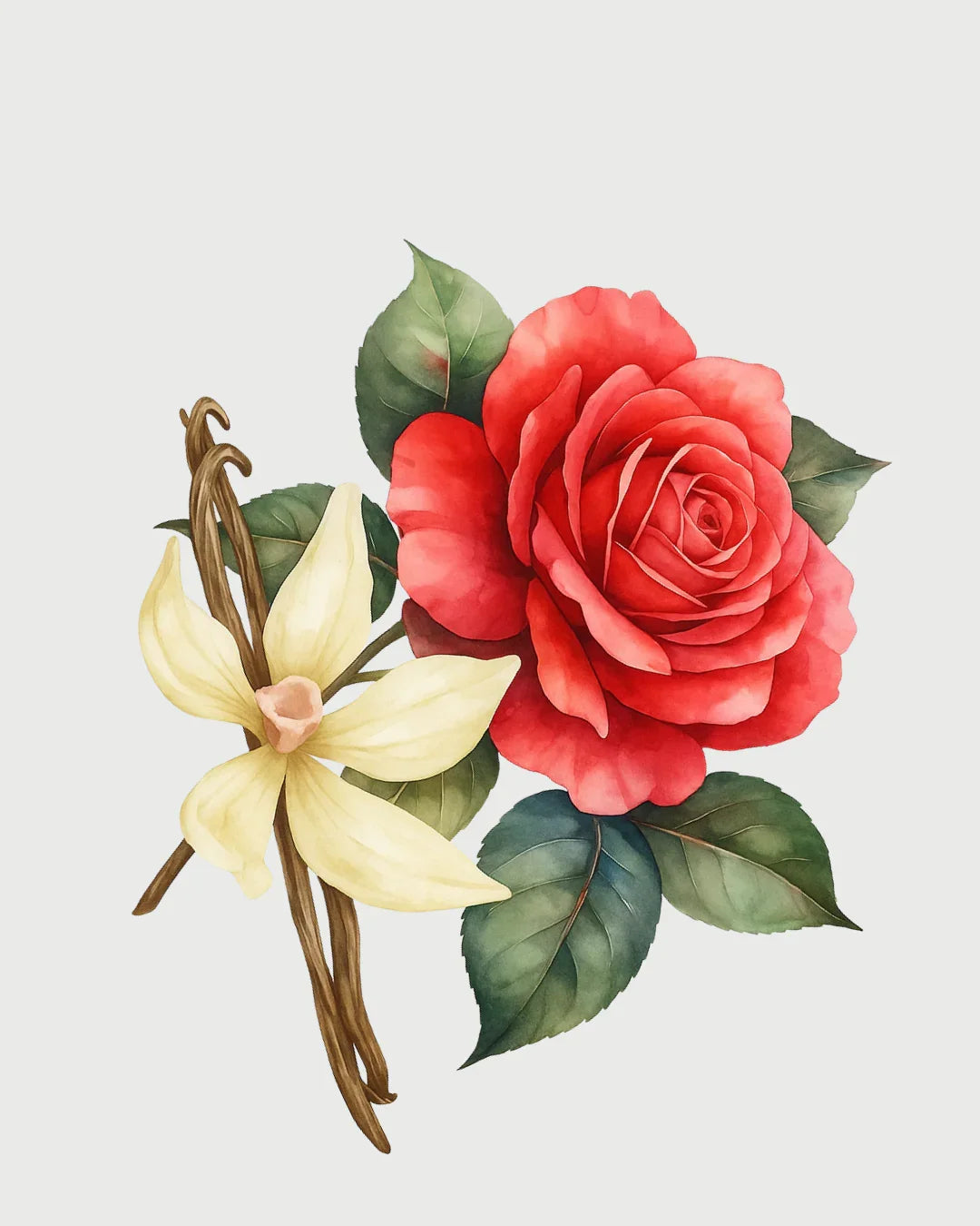 Vanilla aromatizador Spray profissional