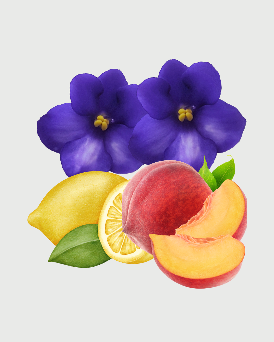 Jardim Palace aromatizador Spray profissional