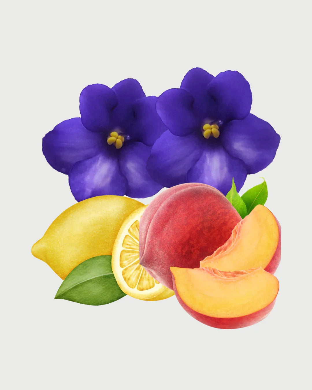 Jardim Palace aromatizador Spray profissional