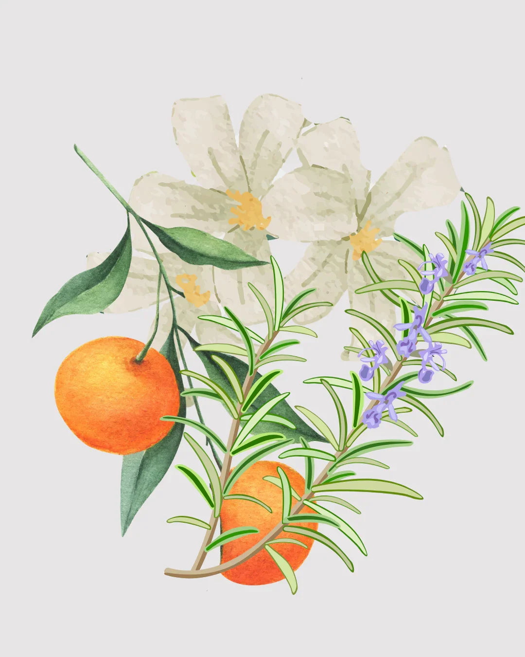 Flowers Refil aromatizador profissional