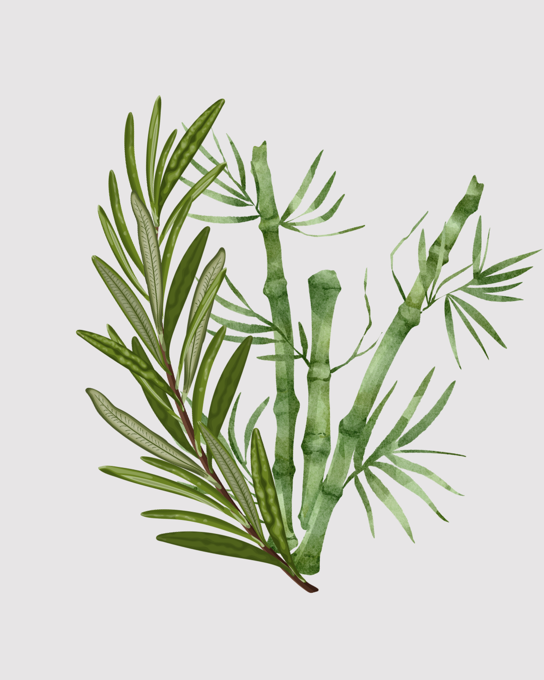 Aroma do Campo aromatizador Spray profissional