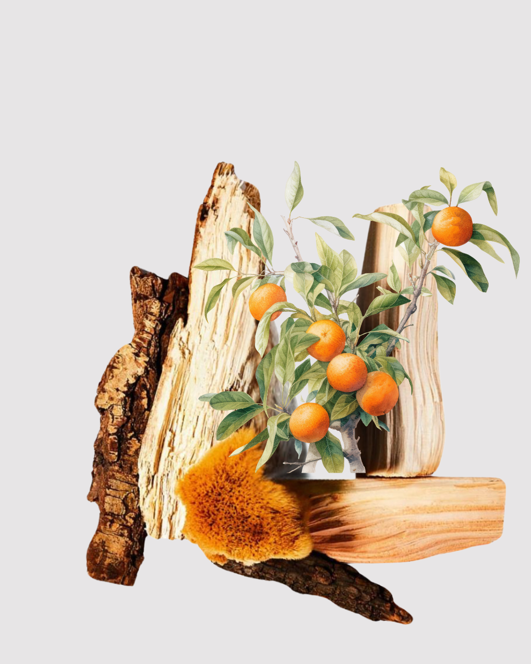 Couro & Tabaco aromatizador spray profissional