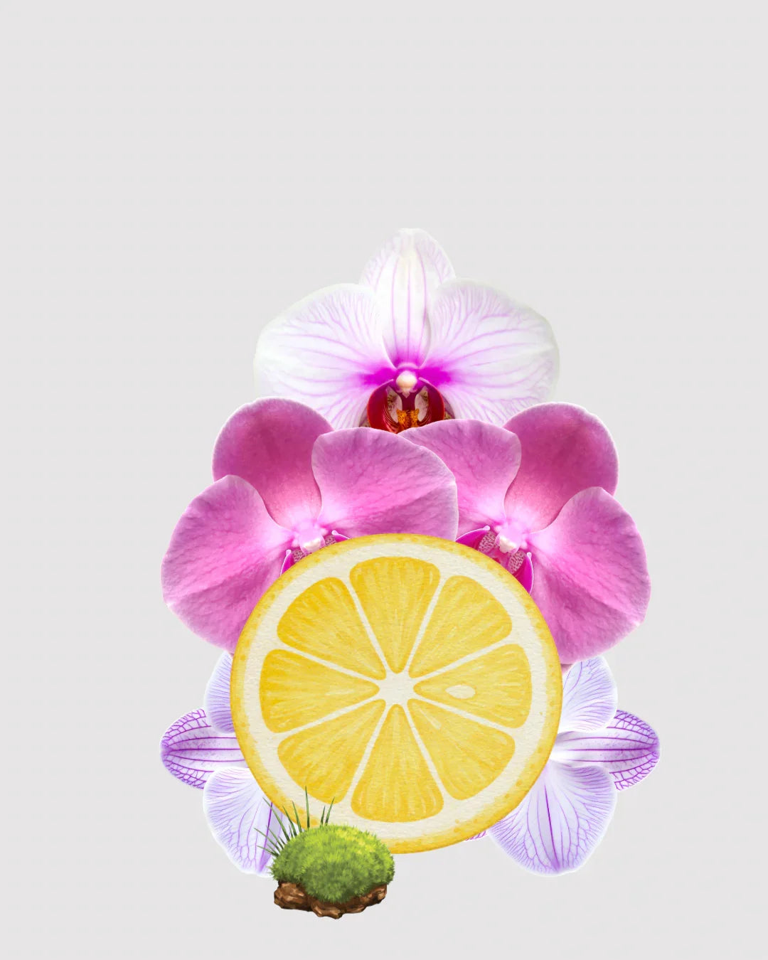 Orquídea aromatizador Spray profissional