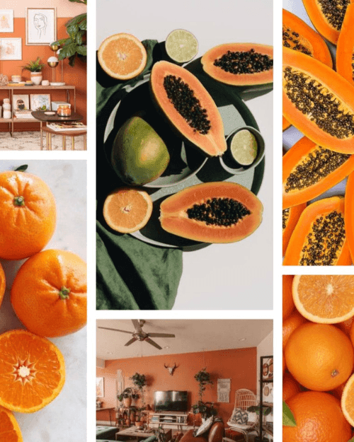 Kit tester Gourmand - Marketing Olfativo - VÈUSKE