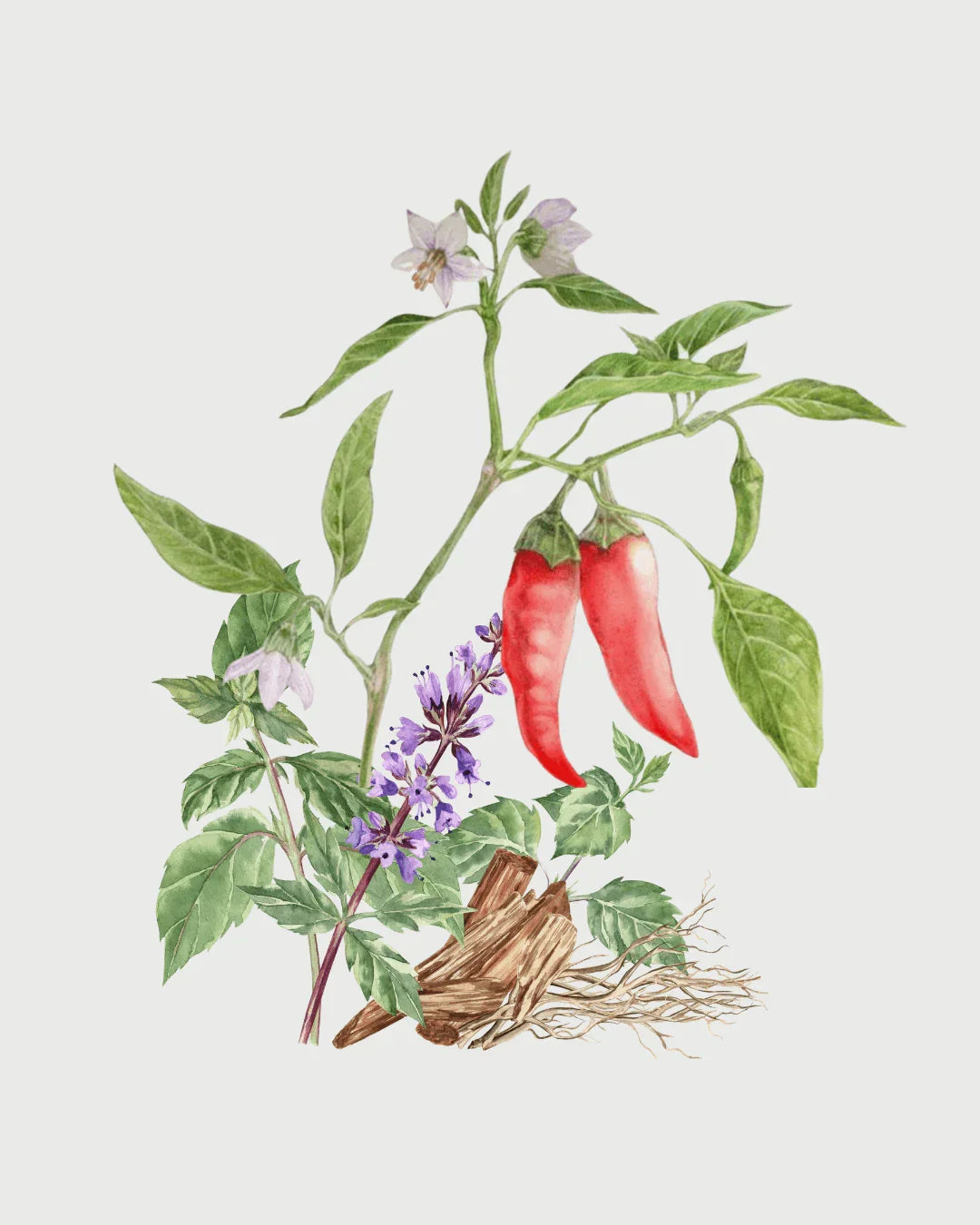 Pimenta & Patchouli aromatizador Spray profissional