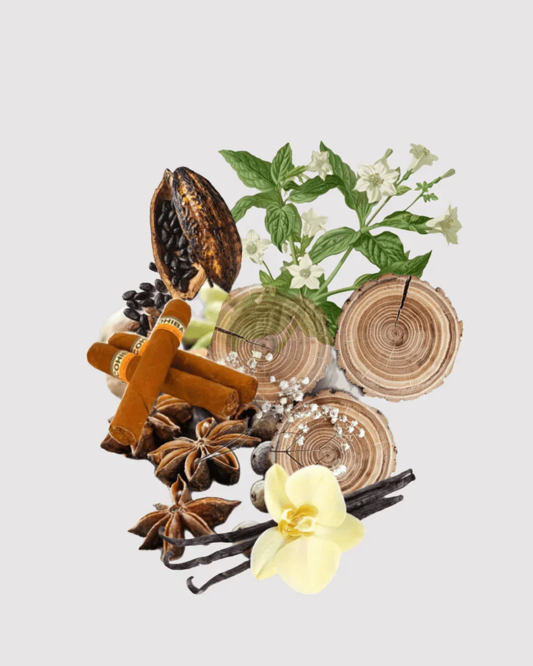 Tabaco Doce refil aromatizador profissional