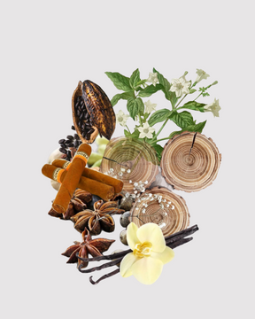 Tabaco Doce refil aromatizador profissional  034/22