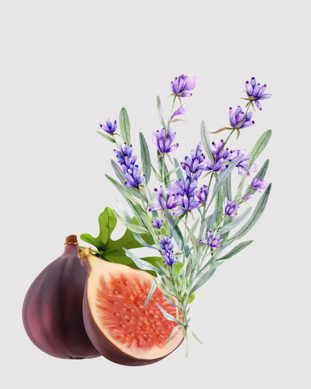 Flor de Figo & Lavanda refil aromatizador profissional