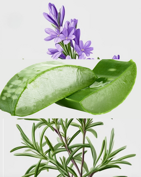 Aroma do Campo refil aromatizador profissional 005/22