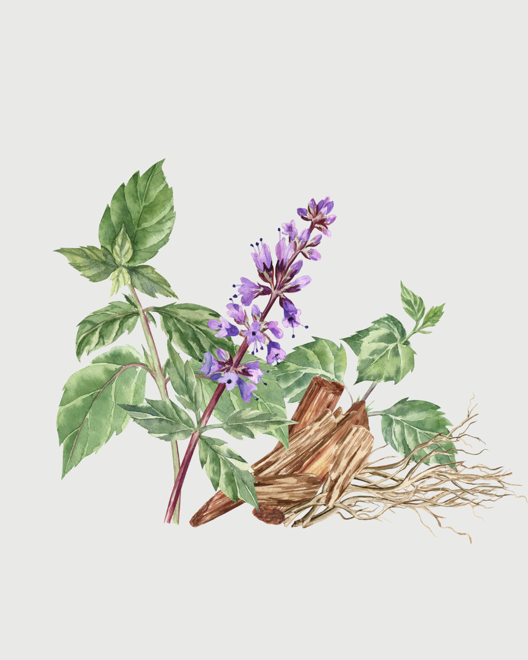 Pimenta & Patchouli refil aromatizador profissional