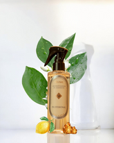 Âmbar & Limão refil aromatizador profissional  006/22