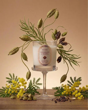 Vela Aromática Cardamomo & Mimosa - Exclusive -  220gr