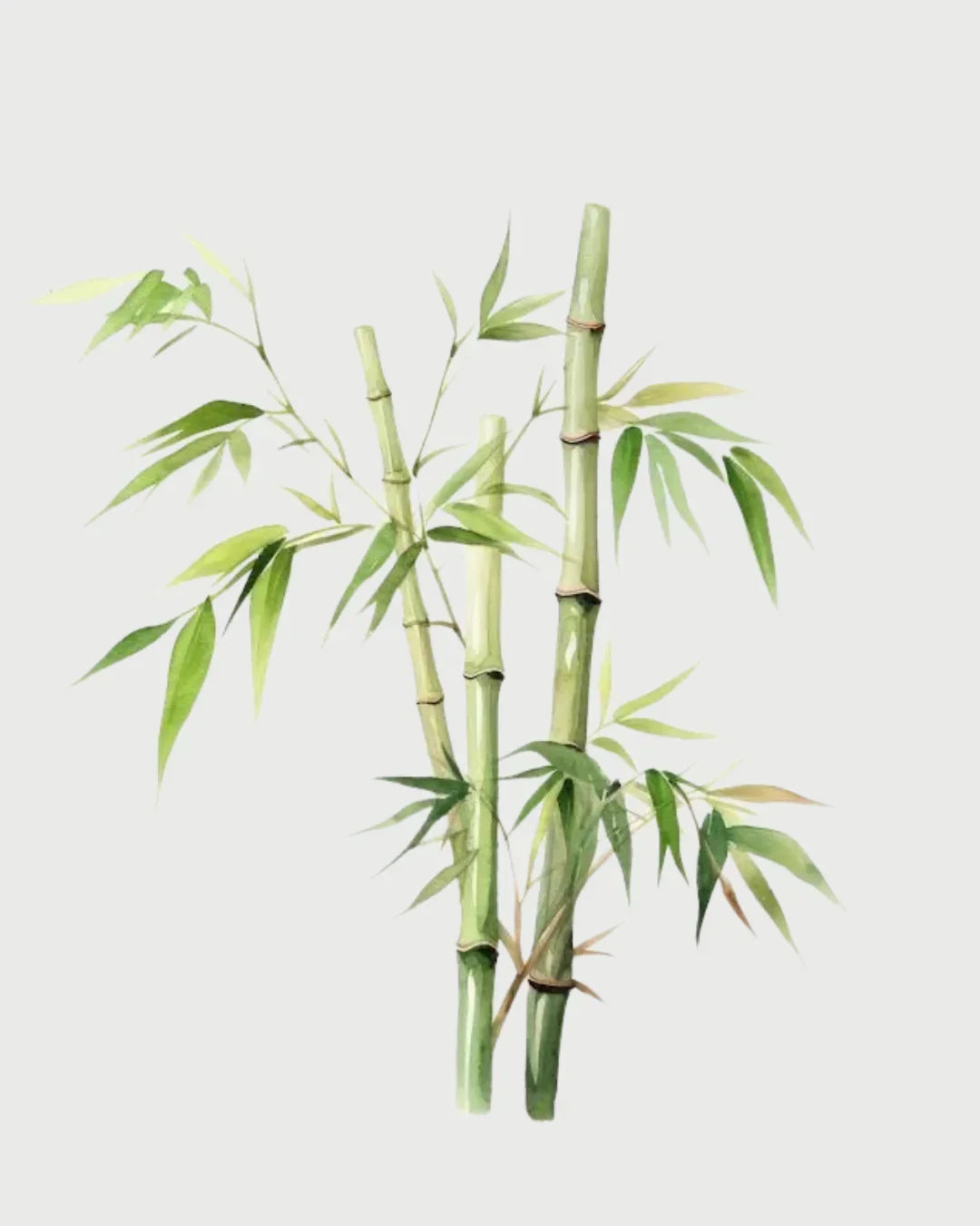Bamboo aromatizador Spray profissional