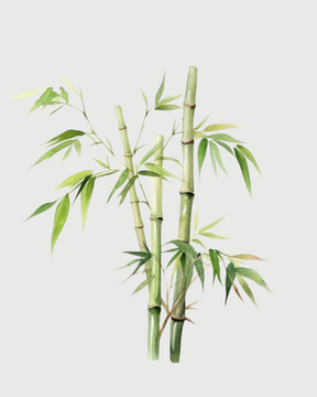 Bamboo aromatizador Spray profissional 008