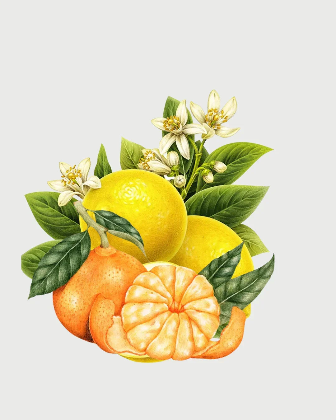 Lemon Cidreira aromatizador Spray profissional
