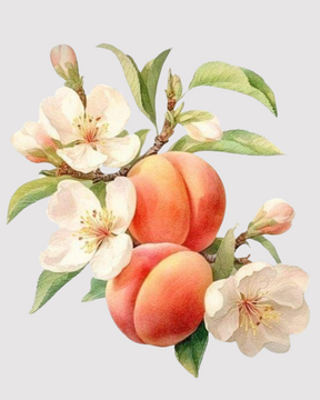 Flor de Nectarina refil aromatizador profissional 014/22