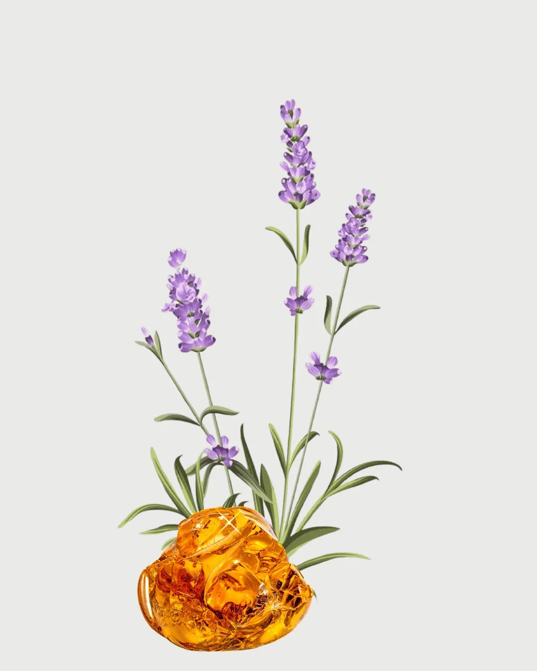 Lavanda & Âmbar Refil aromatizador profissional