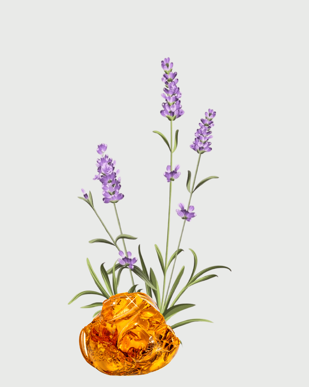 Lavanda & Âmbar Refil aromatizador profissional 037