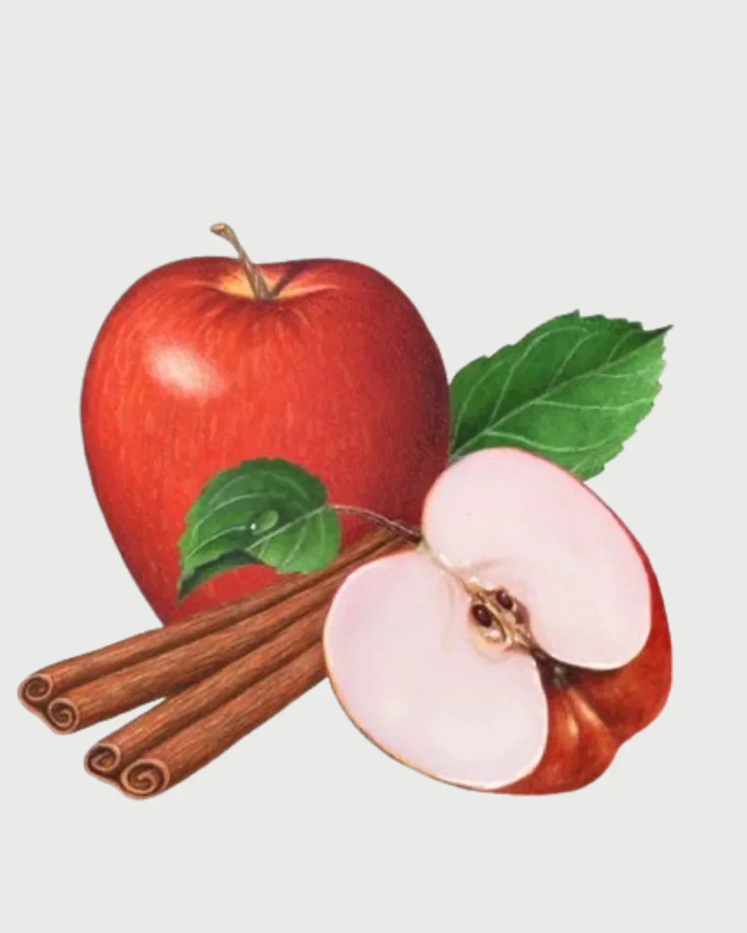 Maça & Canela Refil aromatizador profissional