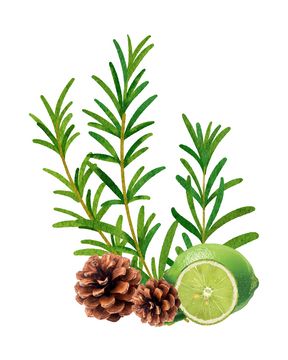 Alecrim refil aromatizador profissional 016/22