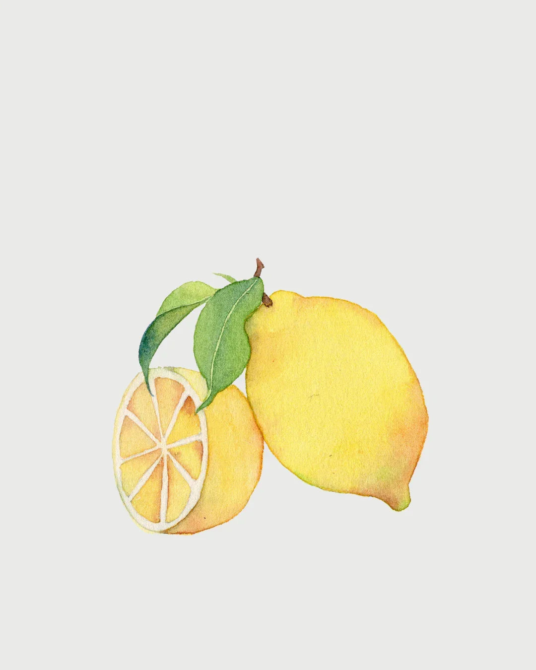 Limonne Siciliano Refil aromatizador profissional