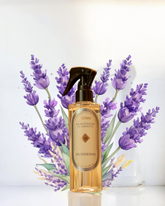 Lavanda Francesa refil aromatizador profissional 013/22