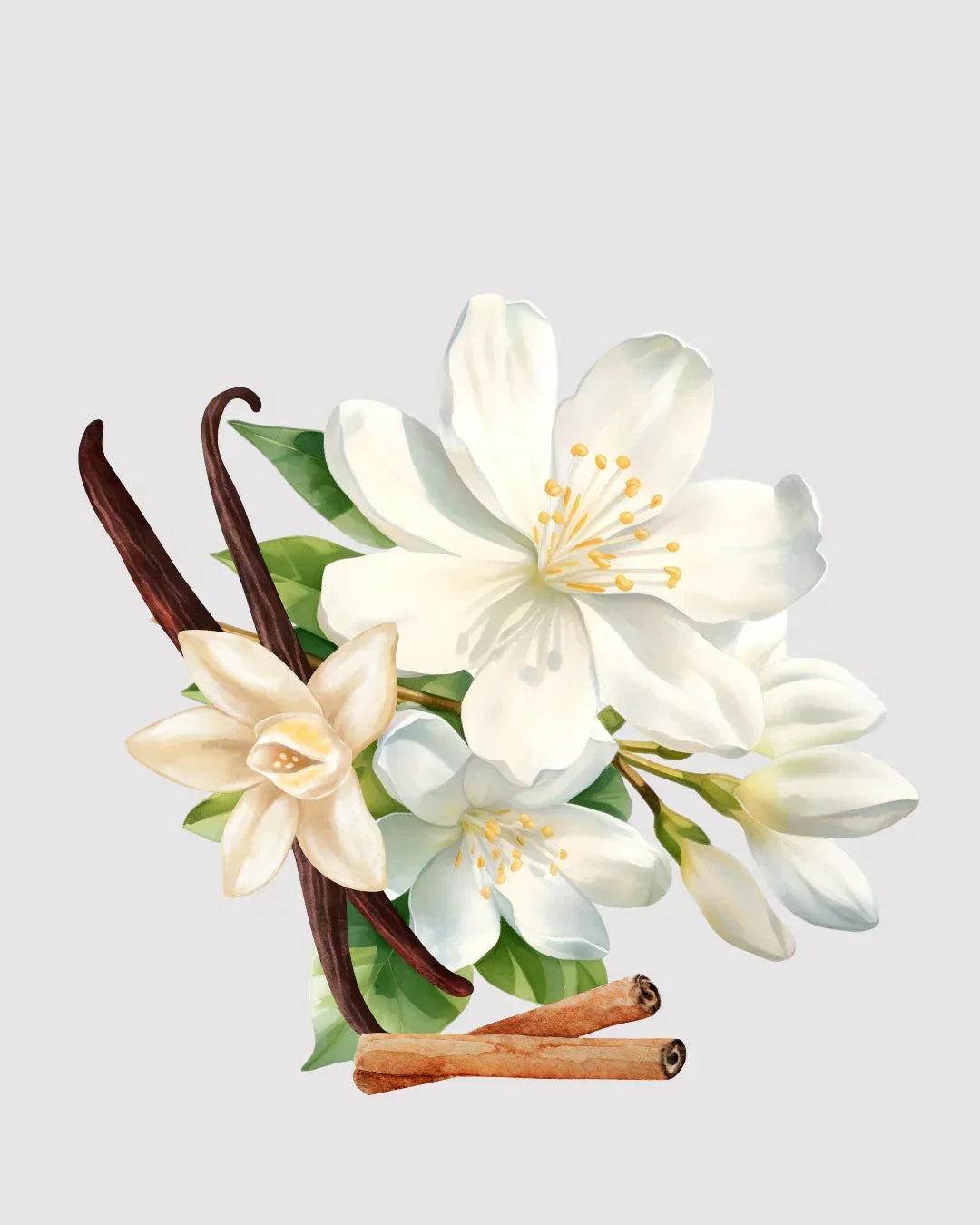 Sementes aromatizador Spray profissional