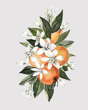 Flor de Laranjeira refil aromatizador profissional 009/22