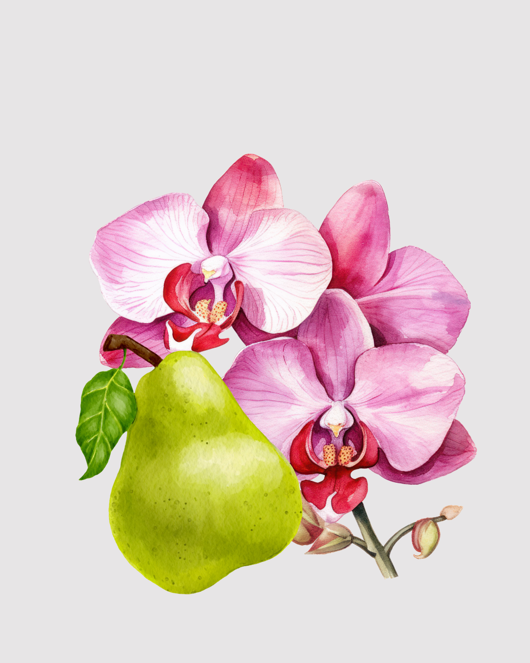 Orquidea Almiscar aromatizador Spray profissional