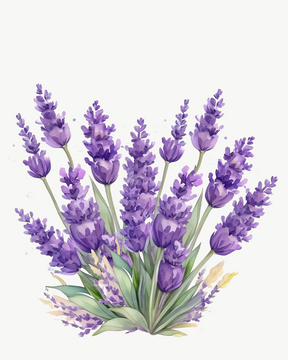 Lavanda Francesa refil aromatizador profissional 013/22