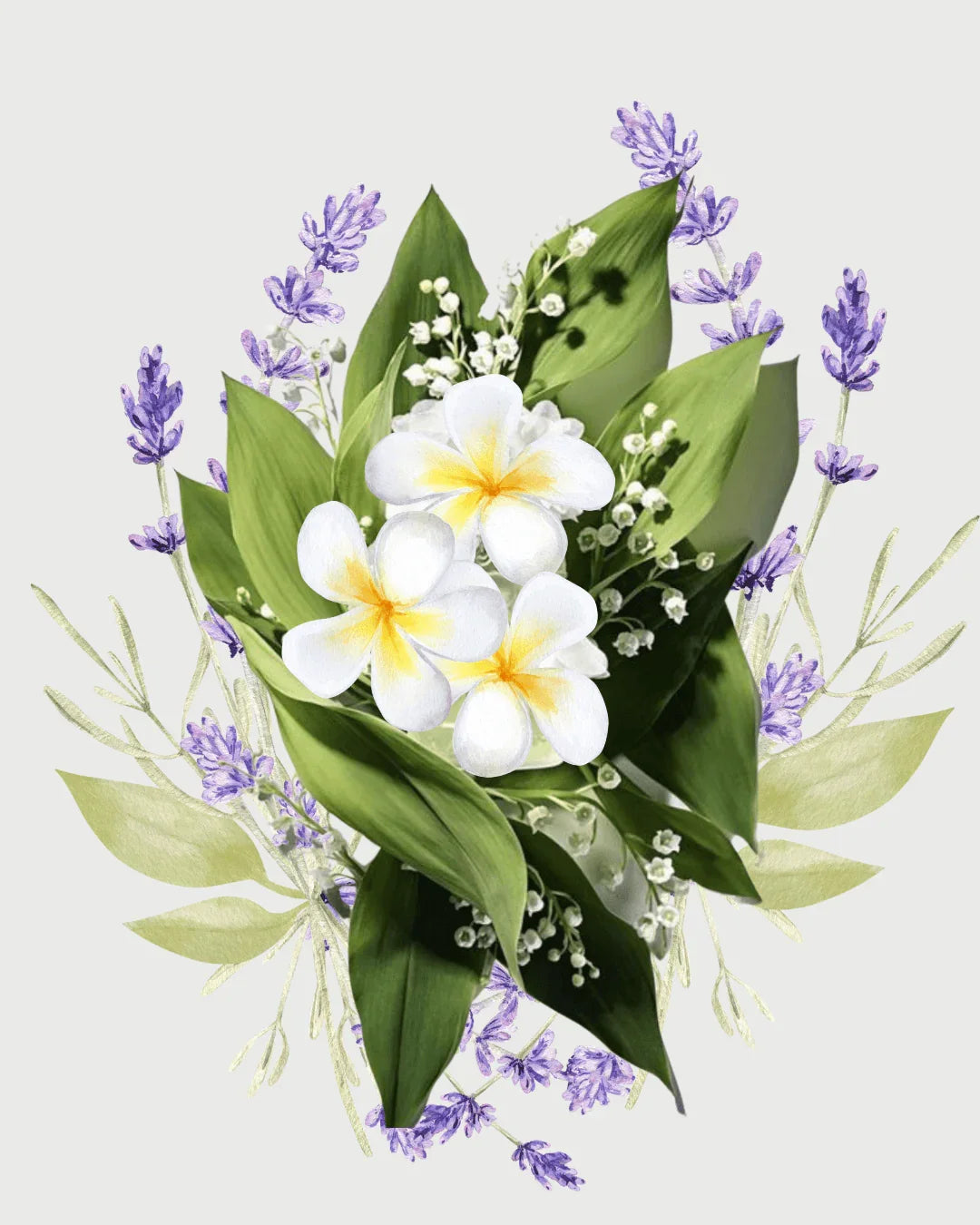 Lavanda & Muguet refil aromatizador profissional